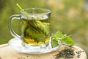 A decoction of nettle to increase the sexual strength of men