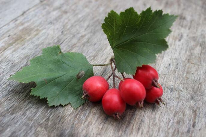 hawthorn to increase potency