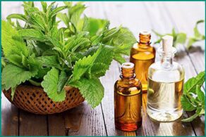 Mint and products based on it to restore potency in men